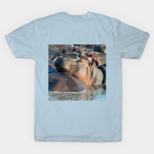 Hippo at Rest in Water with Friends T-Shirt